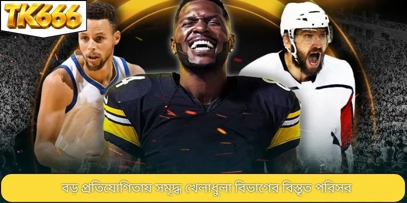 বড় প্রতিযোগিতায় সমৃদ্ধ খেলাধুলা বিভাগের বিস্তৃত পরিসর